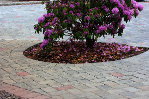 Patio - Bricktown, New Jersey